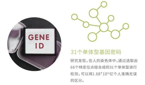 華大基因安馨可基因檢測系列產(chǎn)品全新上市，開啟精準健康管理新時代