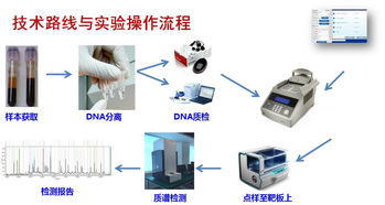 淺談腫瘤基因檢測 精準醫療時代的核心鑰匙