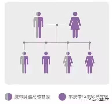 健康托付，關愛彼此 腫瘤基因檢測在療養院中的守護與溫度