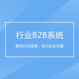 重慶企業軟件開發 驅動B2B行業系統轉型升級